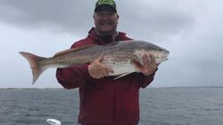 Hooked a Large Fish in Orange Beach
