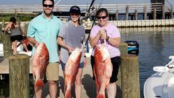 Red Snapper Fishing in Gulf Shores