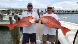 Top Red Snapper Trips in Gulf Shores