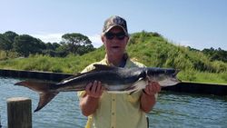 Gulf Shores, Alabama Best Cobia Fishing Charter