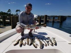 Hooked Plenty of Sea Trout in Gulf Shores