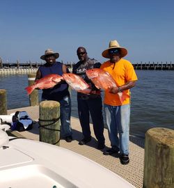 3 small fishing reels on dock with Alabama location