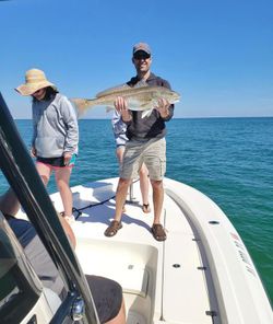 Redfish caught during fishing trip in Gulf Shores AL
