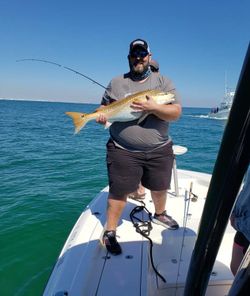 Redfish caught while fishing in Gulf Shores AL on boat deck