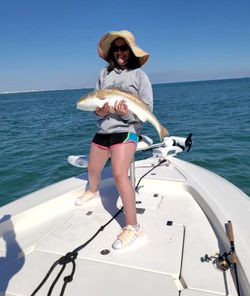 Redfish caught on fishing boat in Gulf Shores AL waters