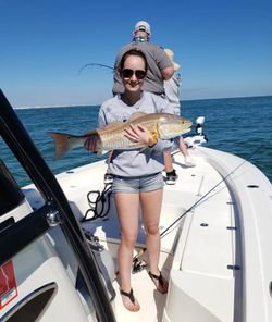 Redfish catch on fishing boat in Gulf Shores AL