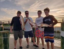 Four anglers displaying freshly caught redfish on a dock in Gulf Shores Alabama at sunset
