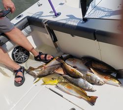 Fresh caught redfish and speckled trout displayed on boat deck in Gulf Shores Alabama