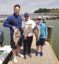 Three anglers displaying caught sheepshead fish on wooden dock in Gulf Shores Alabama