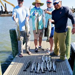 Successful speckled trout fishing trip with multiple fish displayed on dock in Gulf Shores AL
