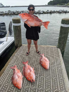 4 big fish caught at Gulf Shores fishing spot