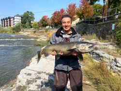 Big fish caught in Ottawa, Canada