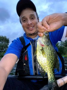 Crappie fish caught in Ottawa