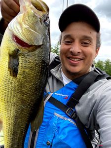 A person fishing with a rod in Ontario