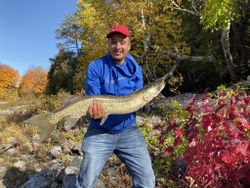 Muskellunge fish caught in Ottawa