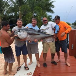 Blackfin tuna, a 39-inch fish, caught in Pompano Beach while cruising and fishing