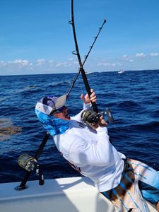 Scenic Florida coastline with fishing cruises