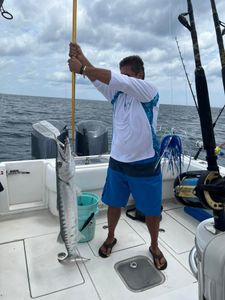 A great barracuda, a 30-inch fish, caught in FL