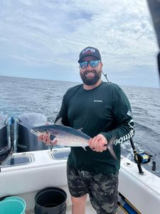 Little Tunny fish caught in Pompano Beach