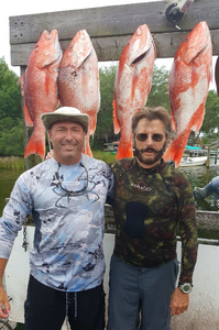 Four fish caught in FL