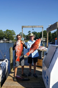 Two big Red Grouper caught while fishing at Fort Myers