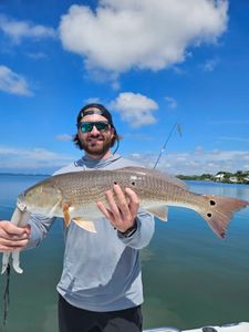 Redfish Catch in Sarasota Fishing Charter Book now