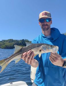 Great day fishing Snook in Florida