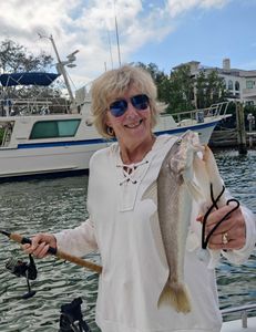 Fishing for a big Atlantic Croaker in Sarasota