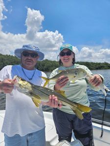 Two Crevalle Jack and Snook fish caught in Sarasota