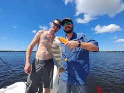 Caught a massive 20-inch black drum fish in FL