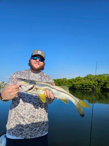 Sun-kissed moments in Sarasota's angling paradise