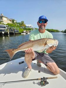 Redfish Trophy in Fishing Trips Sarasota