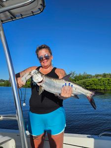Reeling in the day's catch, Sarasota Fishing Trips