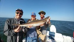 Angler fishing in Sarasota