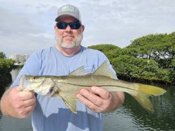 Snook Catch in Sarasota Fishing Charter!