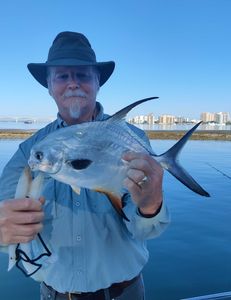 Photo of a great pompano fish caught in Sarasota