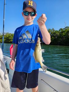 Fishing trip with a grey snapper in FL