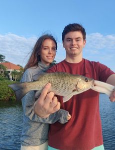 Grey Snapper, a 22-inch fishing catch, in Sarasota