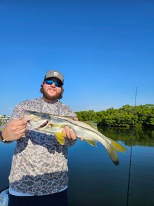 Angler holding a large snook fish in Sarasota