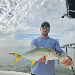 Crevalle Jack, a 26-inch fish caught while fishing in Sarasota
