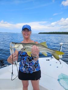 A single snook fish caught while fishing in FL