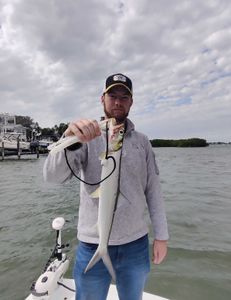 Ladyfish caught while fishing in FL