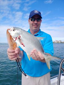 Permit fish caught by angler in Sarasota