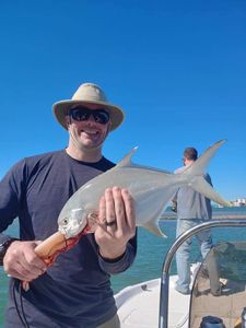 Permit fish caught in Sarasota