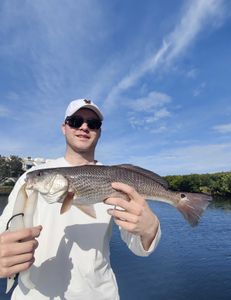 Redfish caught while fishing in Florida