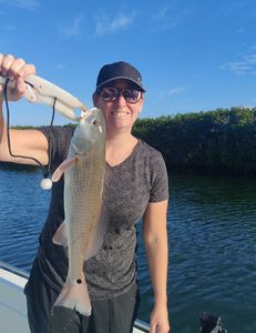 Redfish caught in FL