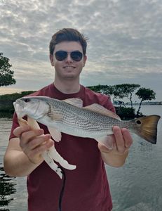 Redfish caught in FL