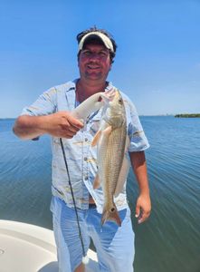 Angler with a redfish in Sarasota