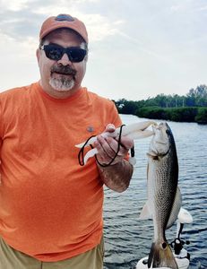 A redfish catch from Sarasota, Florida