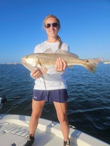 Redfish catch in Sarasota, Florida